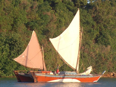 design-colleagues-plywood-ONTONGJAVA